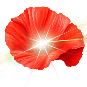 Logo client : Marlyse DURAND