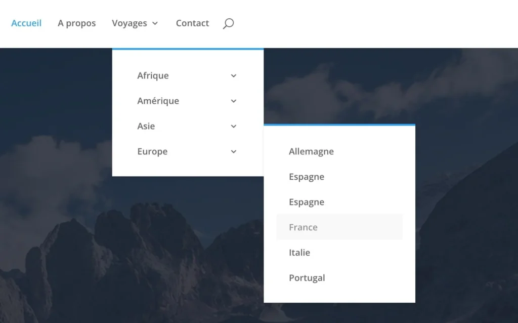 Divilogy - Blog - Tutoriels & Optimisation Divi - Comment créer un mega menu avec Divi ? - Étape 2 - Apparence du menu
