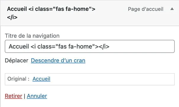 Personnaliser vos menus WordPress grâce à Font Awesome - Ajout de l'icône dans le menu