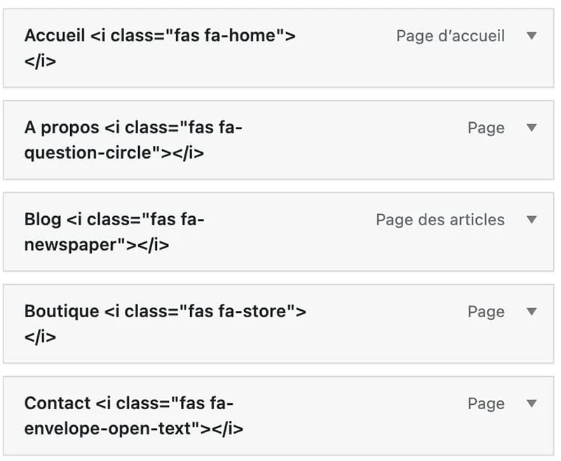 Personnaliser vos menus WordPress grâce à Font Awesome - Aperçu des classes dans le menu